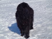 Превью фото № 171122