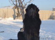 Превью фото № 171155