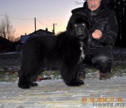 Превью фото № 171161