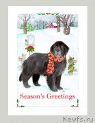 Превью фото № 171164