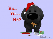 Превью фото № 171167