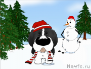 Превью фото № 171168