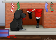 Превью фото № 171170