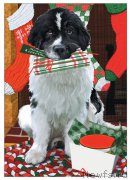 Превью фото № 171180