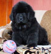 Превью фото № 171194