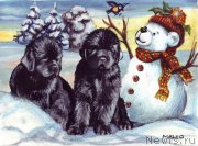 Превью фото № 171197