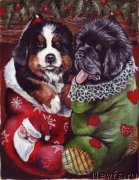 Превью фото № 171199