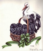 Превью фото № 171201