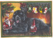 Превью фото № 171202