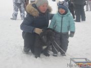 Превью фото № 171241