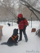 Превью фото № 171242