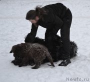 Превью фото № 171272