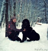 Превью фото № 171285