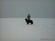 Превью фото № 171293