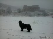 Превью фото № 171296