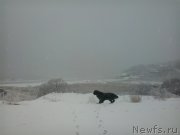 Превью фото № 171297