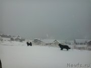 Превью фото № 171298