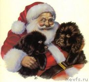 Превью фото № 171303