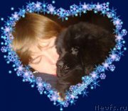 Превью фото № 171308