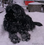 Превью фото № 171438