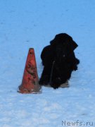 Превью фото № 171448