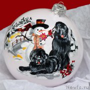 Превью фото № 171459