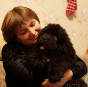 Превью фото № 171481