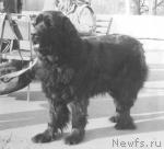 Превью фото № 1715