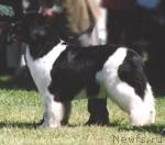 Превью фото № 17152