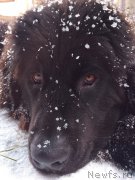 Превью фото № 171552