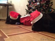 Превью фото № 171581