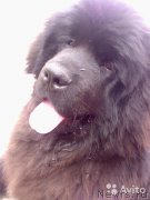 Превью фото № 171606