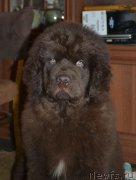 Превью фото № 171638