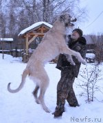 Превью фото № 171658