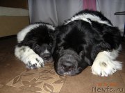 Превью фото № 171669