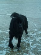 Превью фото № 171706