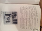 Превью фото № 171739