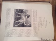 Превью фото № 171740