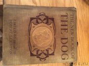 Превью фото № 171741