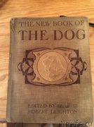 Превью фото № 171744