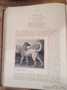 Превью фото № 171745