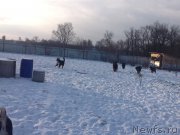 Превью фото № 171776