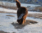 Превью фото № 171799