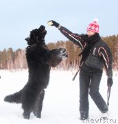 Превью фото № 171819