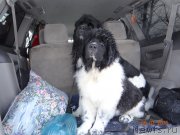 Превью фото № 171839