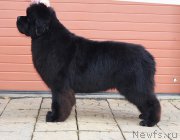 Превью фото № 171862