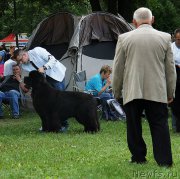 Превью фото № 171870
