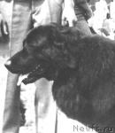 Превью фото № 1719