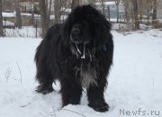 Превью фото № 172011