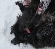 Превью фото № 172014